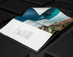 Индийский бизнес готов заменить ушедшие с российского рынка западные компании // Президент IBA: индийский бизнес хочет занять место западных компаний