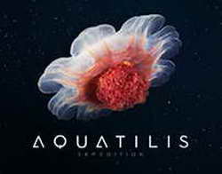 Совкомфлот получил первый российский СПГ-танкер для Арктики