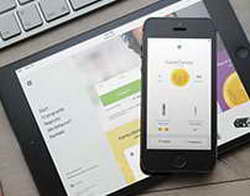 Ульяновские власти ищут жителя, сообщившего Путину о жизни на уровне XIX века