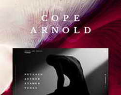 На основателя Telegram завели уголовное дело по статье 205.1