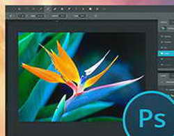 В Саратовской области судно протаранило сапборд
